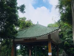 -荔湾湖公园