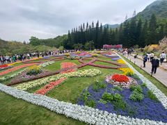 -深圳仙湖植物园