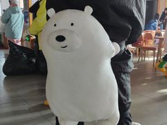 -长白山红松王滑雪场