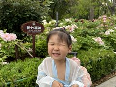 -洛阳市牡丹公园