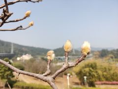 -中国移动南方基地