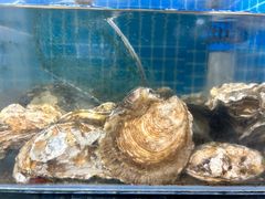 -宾朋海鲜饭庄(兴海路店)