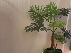 -南堂小馆·川菜馆(德商国际店)