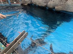 -海合安成都极地海洋公园