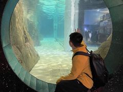 -成都浩海立方海洋公园