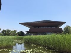 -白洋淀景区