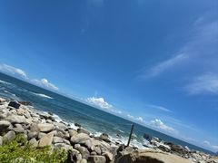 -广东惠东海龟国家级自然保护区