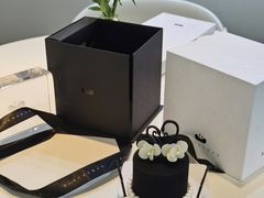 -BLACKSWAN黑天鹅(环球店)