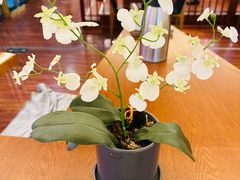 -游You House(西单老佛爷店)