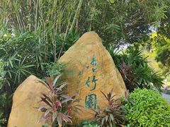 -晓港公园