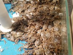 -永辉超市(嘉定宝龙广场店)