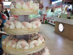 -LLJ夹机占(清河万象汇店)