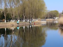 -大兴滨河森林公园