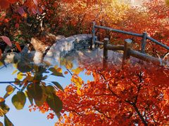 -周口店坡峰岭风景区
