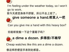 -英孚教育青少儿(徐汇徐家汇中心)
