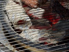 -麻蒲碳烤肉(嘉禾东平地铁站19号店)