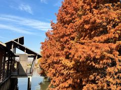 -溱湖国家湿地公园