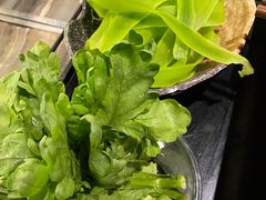 茼蒿-王家渡火锅(金宝汇店)