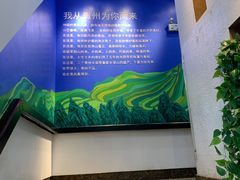 -贵凤凰贵州米粉(望京店)