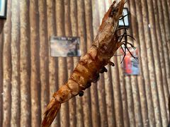 -鬼味烤翅(南锣鼓巷店)