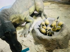 -国家自然博物馆