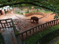 -杭州动物园