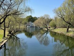 -上海共青森林公园