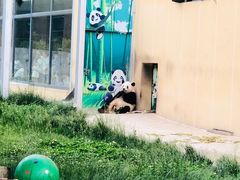 -西安秦岭野生动物园