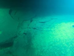 -白鹤梁水下博物馆