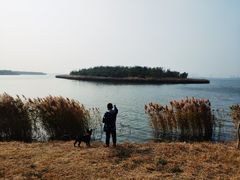 -天津东丽湖风景区