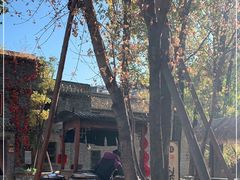 -古北烤梨