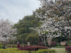 -徐家汇源景区-衡山公园