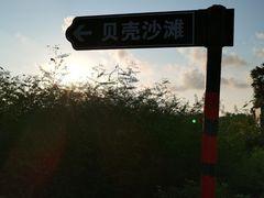 -贝壳沙滩