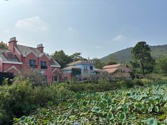 -茅山肴·道家菜·神仙鸡