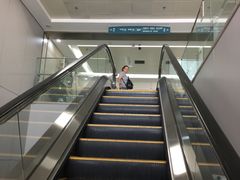 -北京大学第一医院(西城厂桥院区)