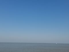 -野狸岛
