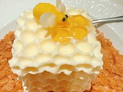 新雅大布丁-新雅粤菜馆(南京东路店)