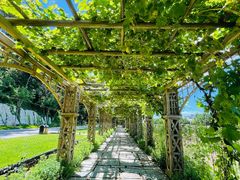 -北京张裕爱斐堡酒庄