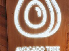 -油梨树AVOCADO TREE(嘉里中心店)