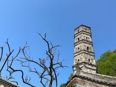 -紫阳古街