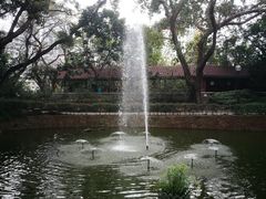 -九龙公园