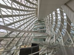 -凤凰中心