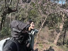 -午潮山国家森林公园