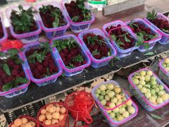 -西山樟坞健康果园枇杷杨梅采摘