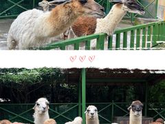 -杭州野生动物世界