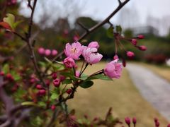 -外高桥保税区南(地铁站)