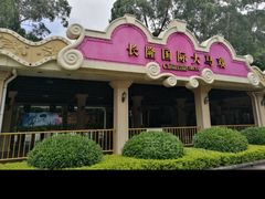 -广州长隆国际大马戏