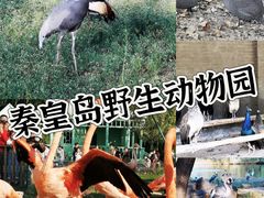 -秦皇岛野生动物园