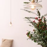 如家般的6年日式果子铺