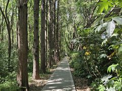 -同里国家湿地公园